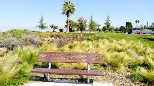 Empty metallic bench on grassy field at park