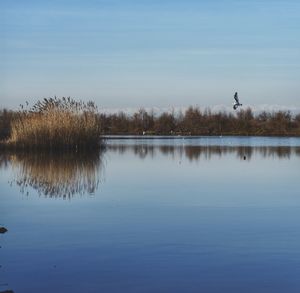 Scenic view of lake against clear sky