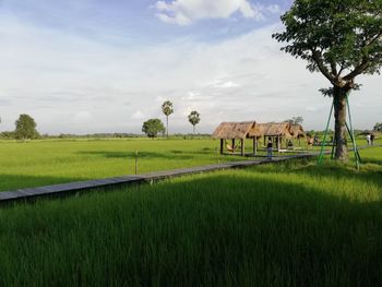 Scenic view of agricultural field against sky