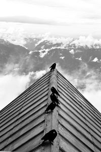 Low angle view of building against sky