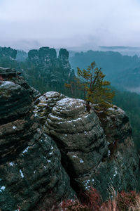 Rock formation by tree against sky