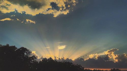 Low angle view of silhouette trees against sky during sunset