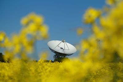 Satellite dish on flowering field against clear sky