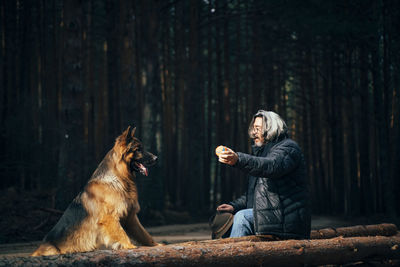 Dog sitting on land in forest