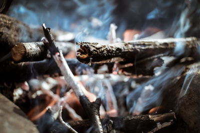 Close-up of burning firewood at campsite