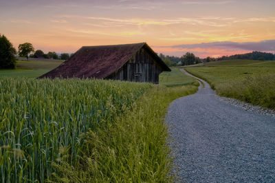 Scenic view of agricultural field against sky during sunset