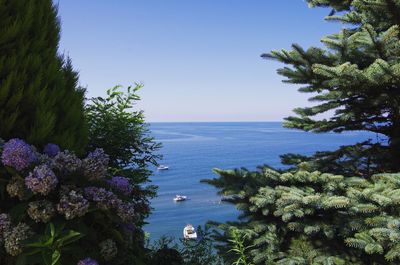 Scenic view of sea against blue sky