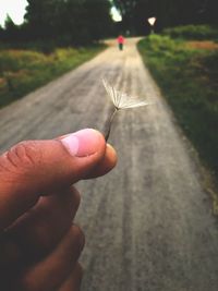 Close-up of hand holding flower