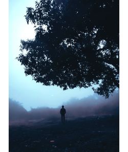 Rear view of silhouette man standing by tree against sky