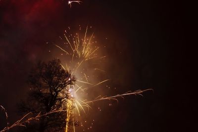 Low angle view of firework display