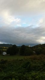 Trees on field against cloudy sky