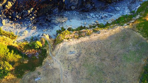 High angle view of road by trees