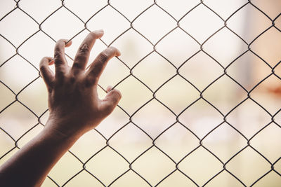Cropped image of hand touching chainlink fence