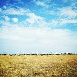 Scenic view of field against cloudy sky