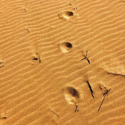 Sunken footsteps in ripples of beachy sand