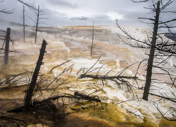 Scenic view of landscape against cloudy sky