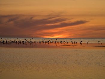 Scenic view of sea at sunset