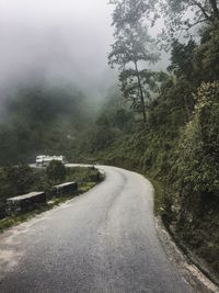 Road amidst trees in forest