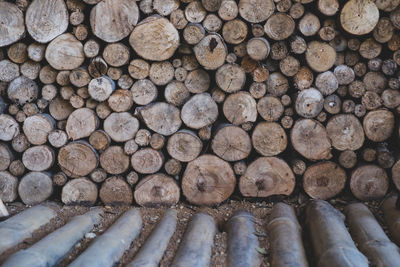 Full frame shot of logs in forest