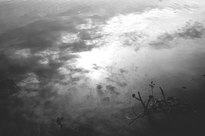 Reflection of clouds in water