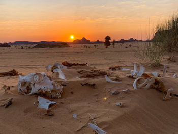 Scenic view of beach against sky during sunset