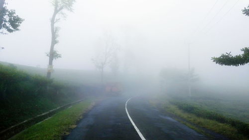 Road amidst trees against sky during foggy weather