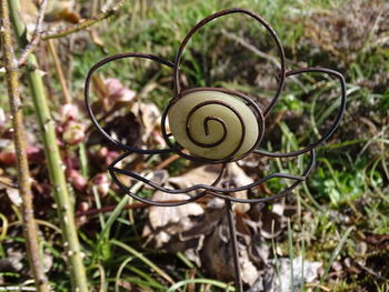 Close-up of snail on metal