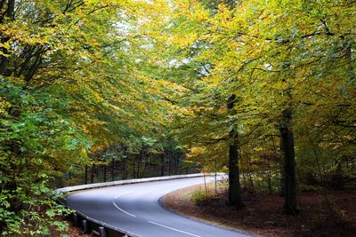 Road amidst trees in forest during autumn