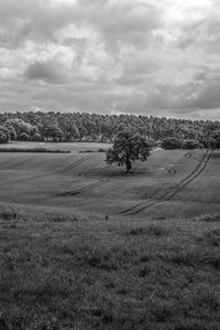 Scenic view of grassy field against cloudy sky