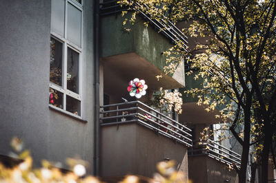 Potted plant against window of building