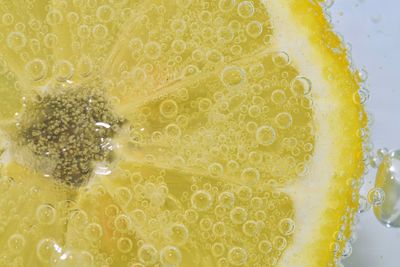 Slice of ripe lemon in water on white background. close-up of lemon in liquid with bubbles. slice of