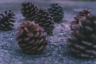 Close-up of pine cones on textured surface