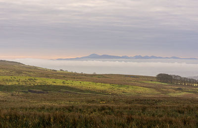 Scenic view of landscape against sky