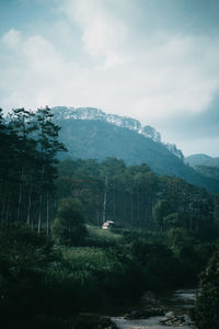 Peaceful scene of small wooden house on the hill in the middle of the forest