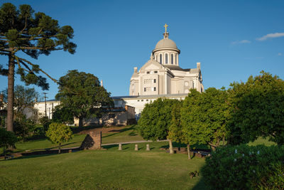 Trees and buildings against sky