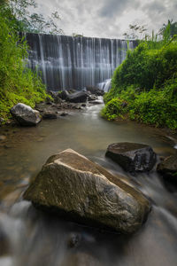 Scenic view of waterfall in forest