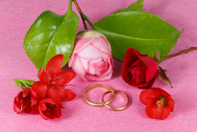 Close-up of red roses