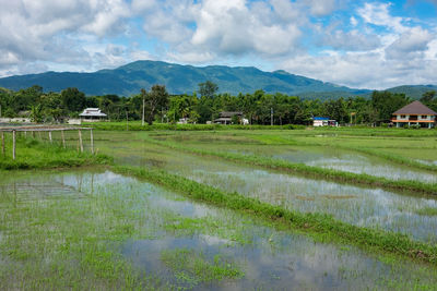 Scenic view of field and houses against sky