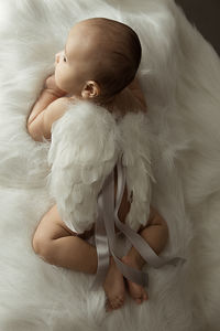 High angle view of cute baby boy wearing artificial wing while lying on fur blanket at home