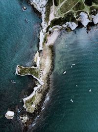 High angle view of crab on beach