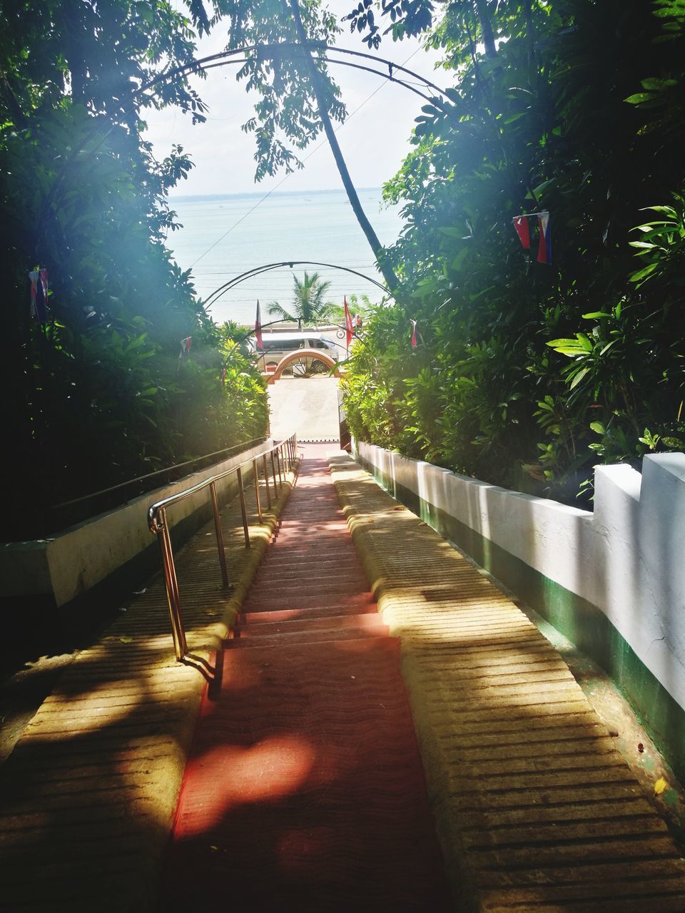 VIEW OF BRIDGE ALONG PLANTS