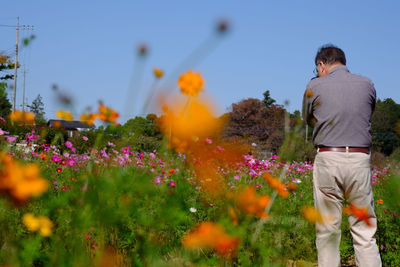 Rear view of person standing by flowering plants against sky