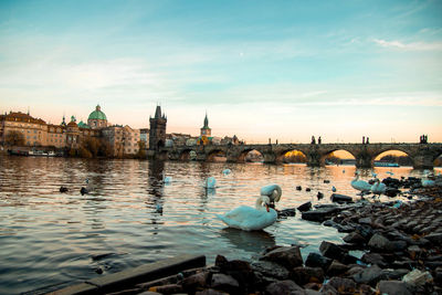 Bridge over river against buildings in city