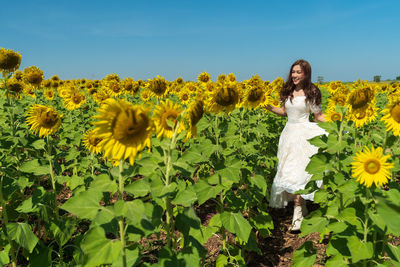 Young woman standing amidst yellow flowers