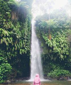 View of waterfall against trees in forest