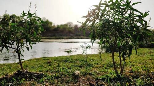 Scenic view of lake against sky