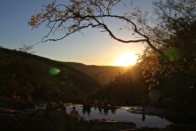 Panoramic view of trees against sky during sunset