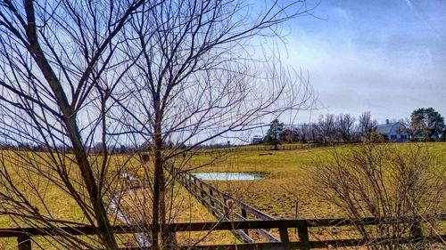 Bare trees on field against sky