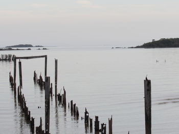 Wooden posts on pier over sea against sky