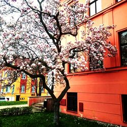 View of building with trees in background